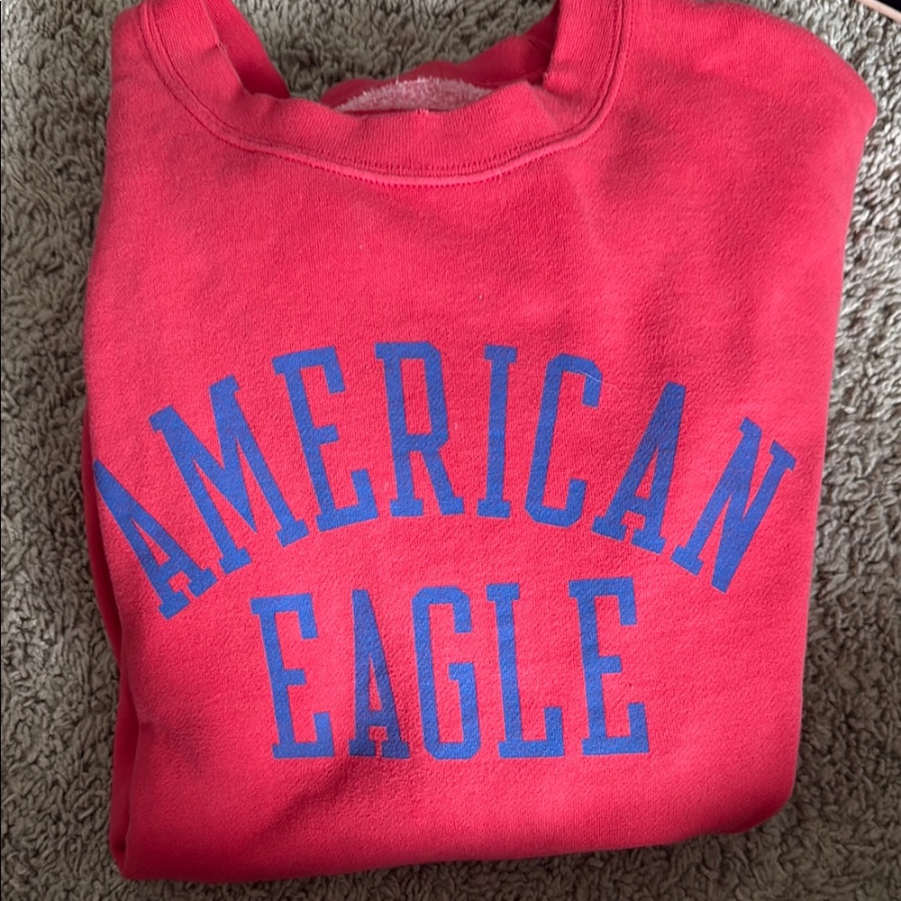 American Eagle Outfitters Coral Fleece-Lined Sweatshirt